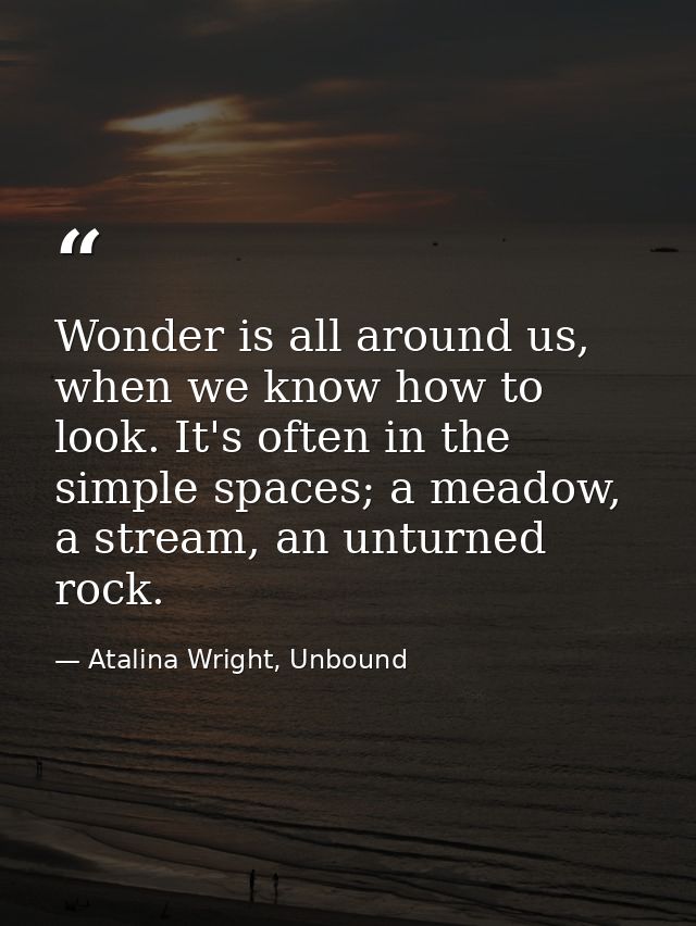 Wonder is all around us, when we know how to look. It's often in the simple spaces; a meadow, a stream, an unturned rock — Atalina Wright, Unbound