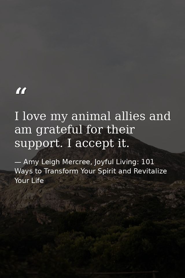 I love my animal allies and am grateful for their support. I accept it. — Amy Leigh Mercree, Joyful Living: 101 Ways to Transform Your Spirit and Revitalize Your Life
