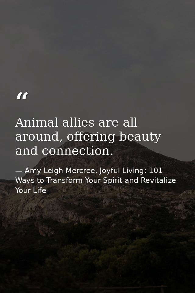 Animal allies are all around, offering beauty and connection. — Amy Leigh Mercree, Joyful Living: 101 Ways to Transform Your Spirit and Revitalize Your Life