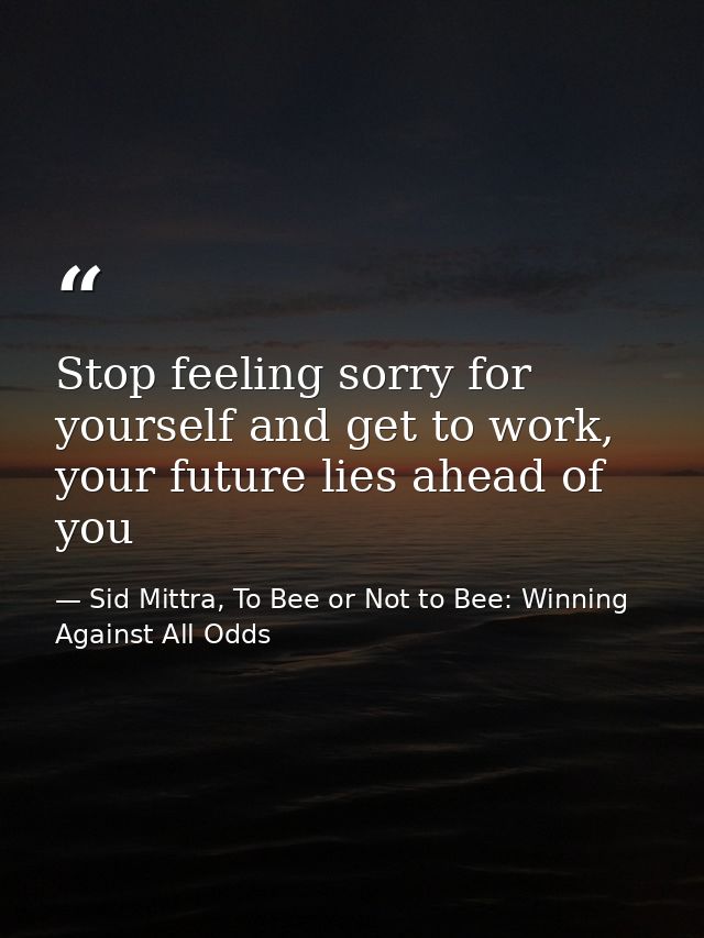 Stop feeling sorry for yourself and get to work, your future lies ahead of you — Sid Mittra, To Bee or Not to Bee: Winning Against All Odds