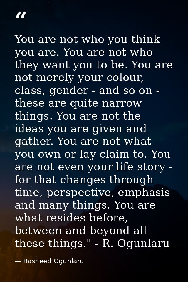 You are not who you think you are. You are not who they want you to be. You are not merely your colour, class, gender -  — Rasheed Ogunlaru