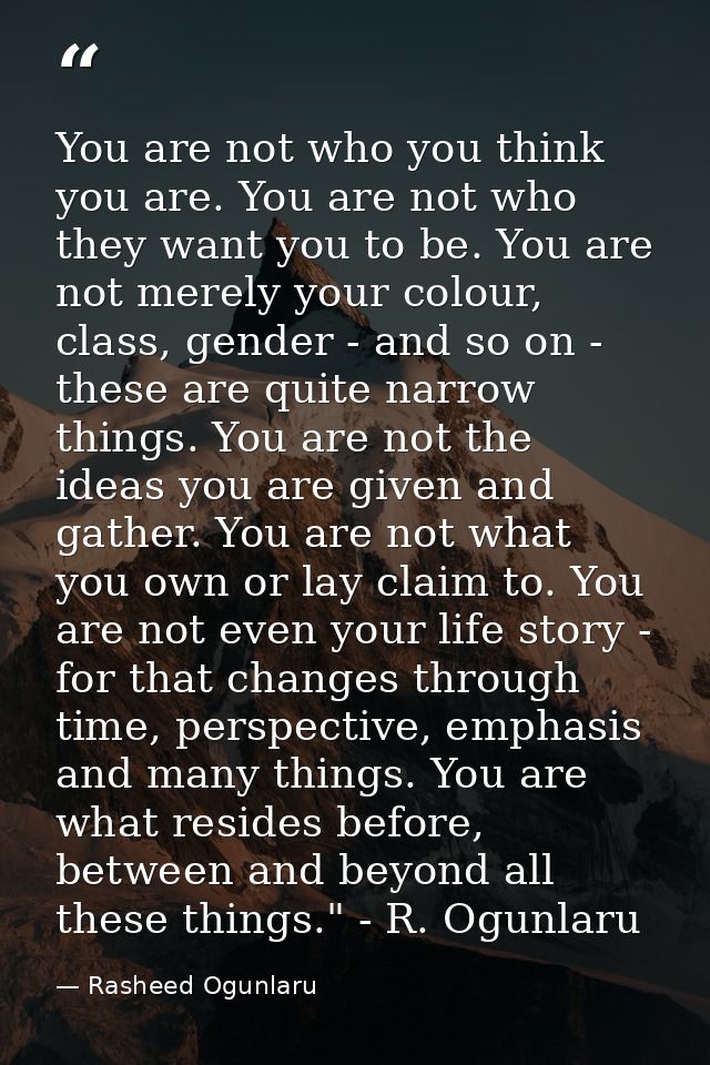 You are not who you think you are. You are not who they want you to be. You are not merely your colour, class, gender -  — Rasheed Ogunlaru