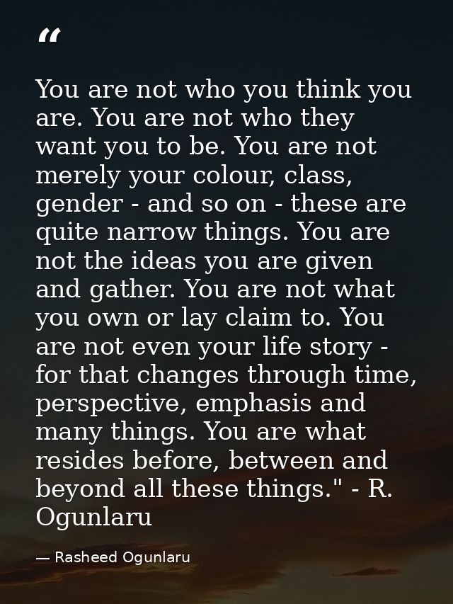 You are not who you think you are. You are not who they want you to be. You are not merely your colour, class, gender -  — Rasheed Ogunlaru