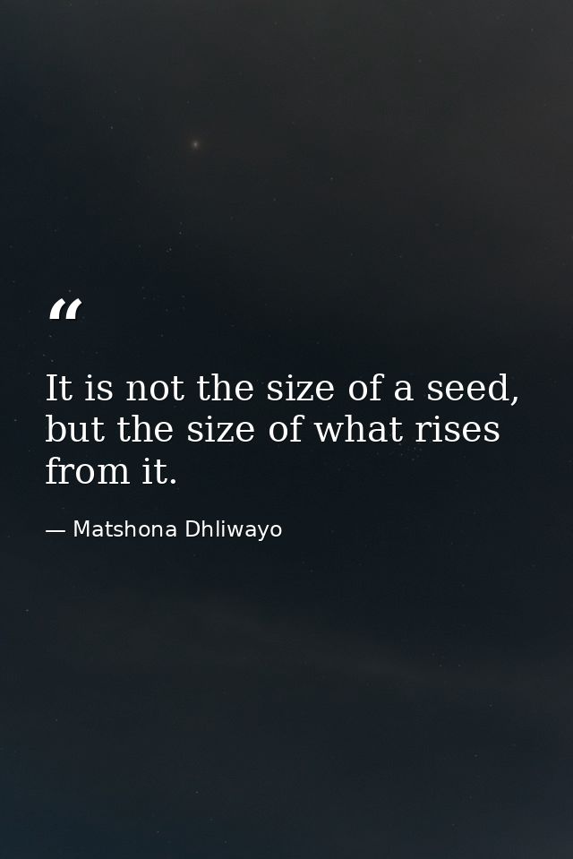 It is not the size of a seed, but the size of what rises from it. — Matshona Dhliwayo