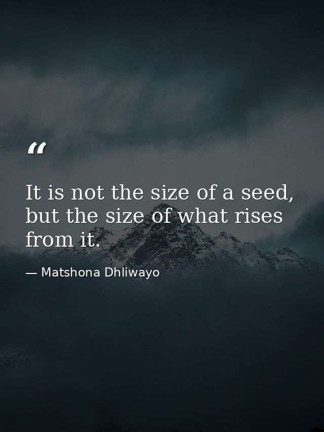 It is not the size of a seed, but the size of what rises from it. — Matshona Dhliwayo