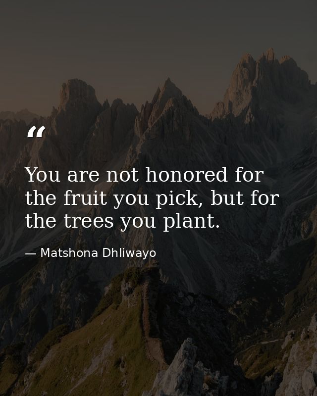 You are not honored for the fruit you pick, but for the trees you plant. — Matshona Dhliwayo