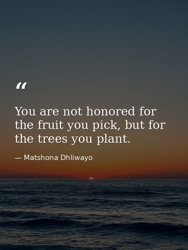 You are not honored for the fruit you pick, but for the trees you plant. — Matshona Dhliwayo