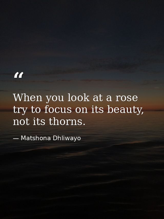 When you look at a rose try to focus on its beauty, not its thorns. — Matshona Dhliwayo
