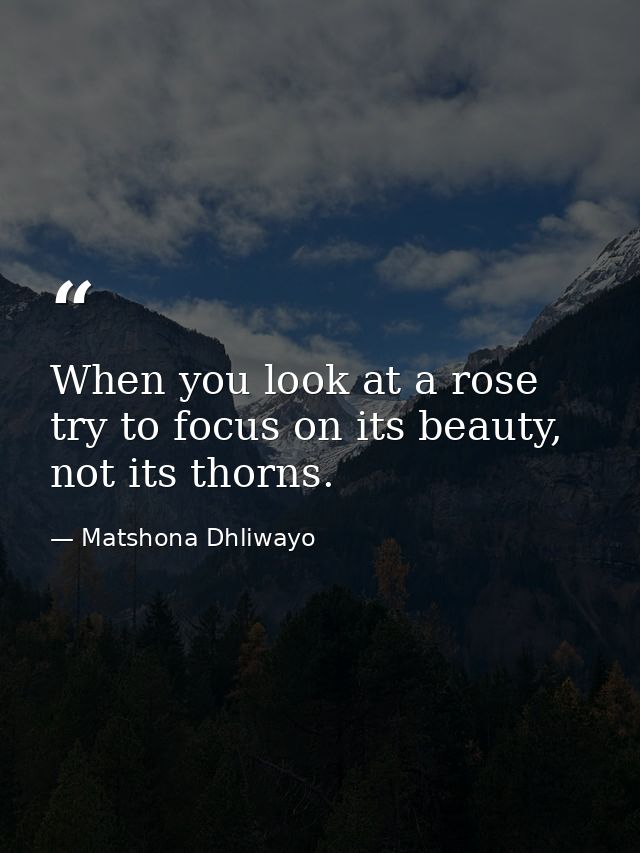 When you look at a rose try to focus on its beauty, not its thorns. — Matshona Dhliwayo