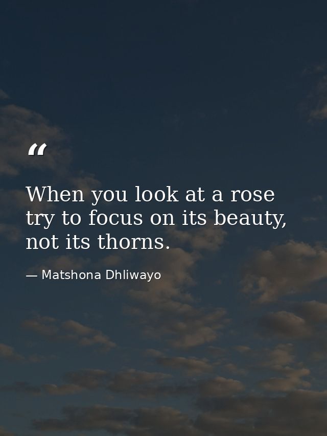 When you look at a rose try to focus on its beauty, not its thorns. — Matshona Dhliwayo