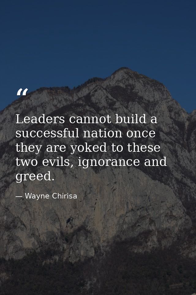 Leaders cannot build a successful nation once they are yoked to these two evils, ignorance and greed. — Wayne Chirisa