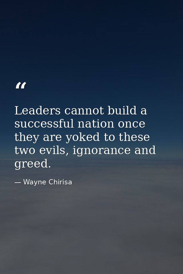 Leaders cannot build a successful nation once they are yoked to these two evils, ignorance and greed. — Wayne Chirisa