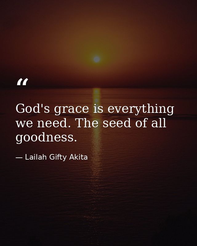 God's grace is everything we need. The seed of all goodness. — Lailah Gifty Akita