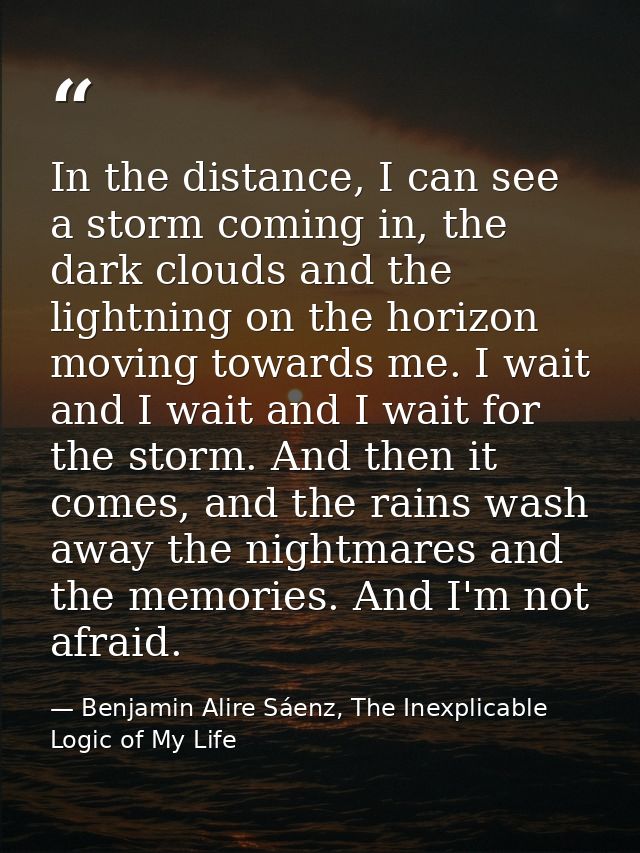 In the distance, I can see a storm coming in, the dark clouds and the lightning on the horizon moving towards me. I wait — Benjamin Alire Sáenz, The Inexplicable Logic of My Life