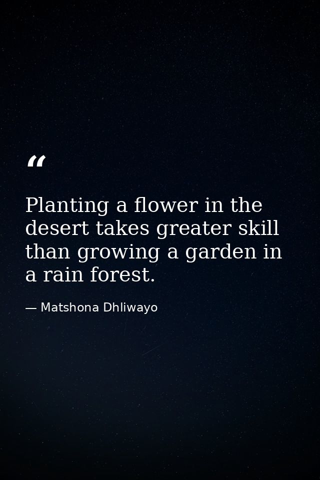 Planting a flower in the desert takes greater skill than growing a garden in a rain forest. — Matshona Dhliwayo