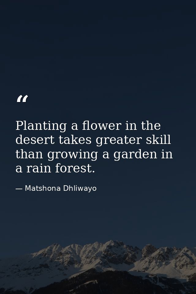 Planting a flower in the desert takes greater skill than growing a garden in a rain forest. — Matshona Dhliwayo