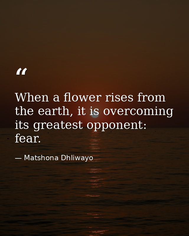 When a flower rises from the earth, it is overcoming its greatest opponent: fear. — Matshona Dhliwayo
