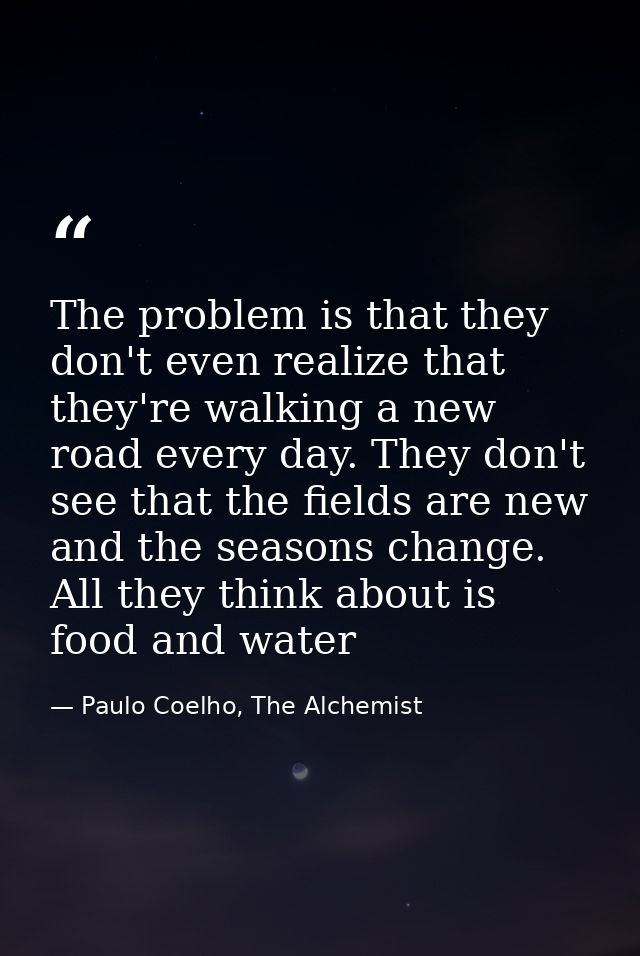 The problem is that they don't even realize that they're walking a new road every day. They don't see that the fields ar — Paulo Coelho, The Alchemist