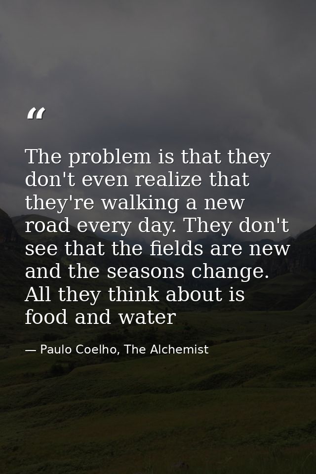 The problem is that they don't even realize that they're walking a new road every day. They don't see that the fields ar — Paulo Coelho, The Alchemist
