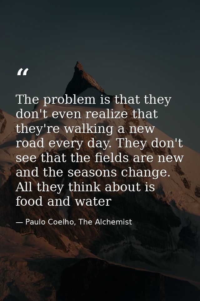 The problem is that they don't even realize that they're walking a new road every day. They don't see that the fields ar — Paulo Coelho, The Alchemist