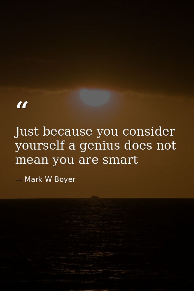 Just because you consider yourself a genius does not mean you are smart — Mark W Boyer