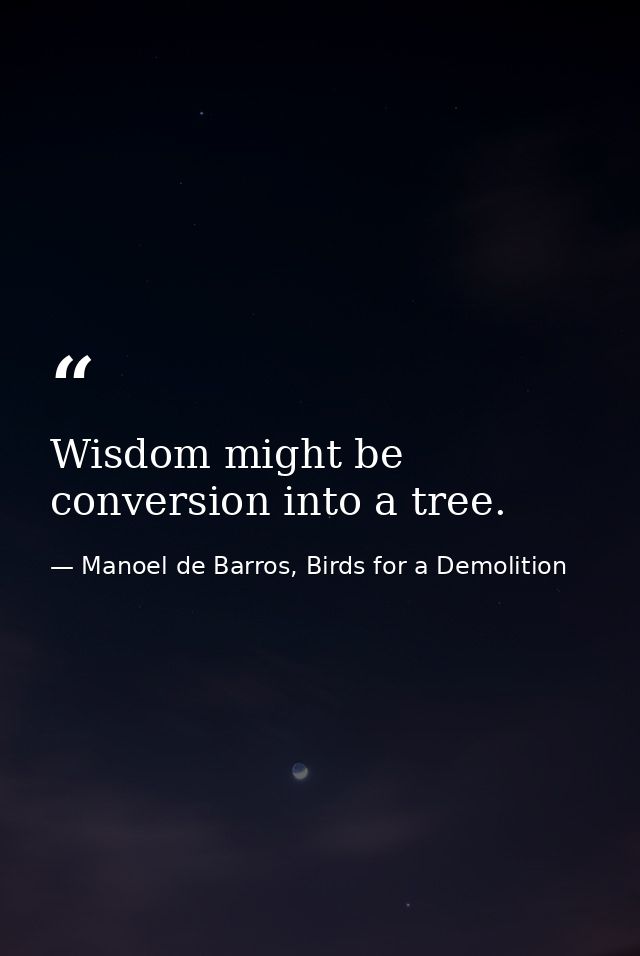Wisdom might be conversion into a tree. — Manoel de Barros, Birds for a Demolition