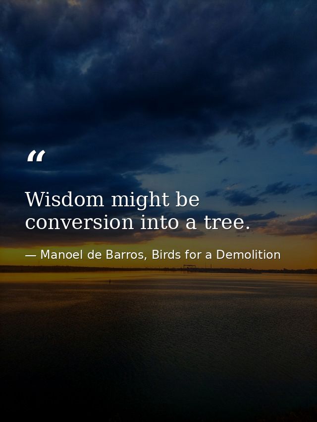 Wisdom might be conversion into a tree. — Manoel de Barros, Birds for a Demolition