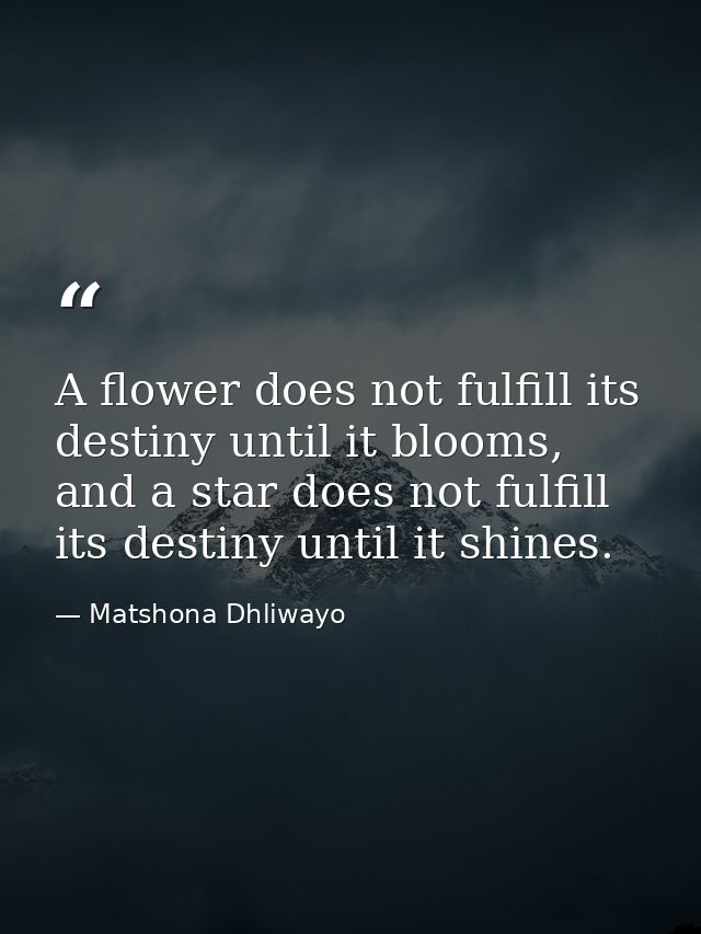 A flower does not fulfill its destiny until it blooms, and a star does not fulfill its destiny until it shines. — Matshona Dhliwayo