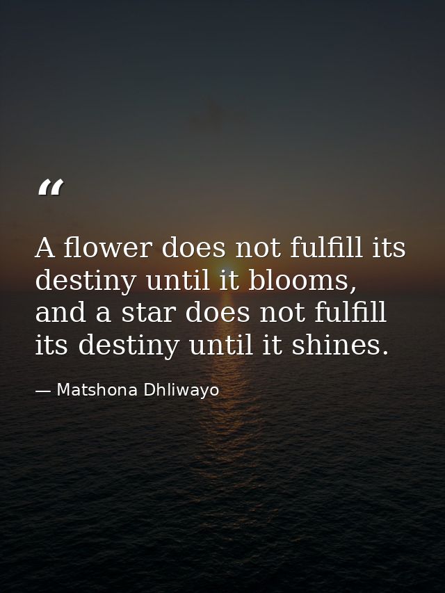 A flower does not fulfill its destiny until it blooms, and a star does not fulfill its destiny until it shines. — Matshona Dhliwayo