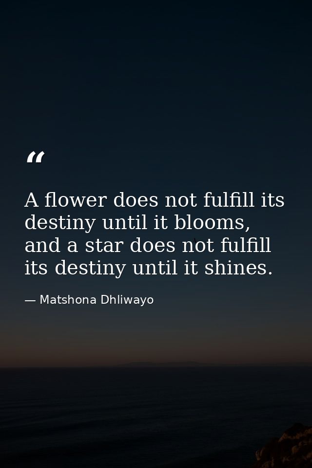 A flower does not fulfill its destiny until it blooms, and a star does not fulfill its destiny until it shines. — Matshona Dhliwayo