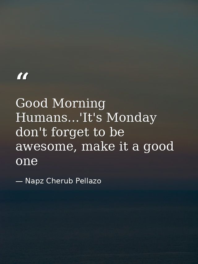 Good Morning Humans...'It's Monday don't forget to be awesome, make it a good one — Napz Cherub Pellazo