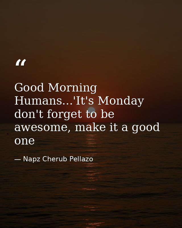 Good Morning Humans...'It's Monday don't forget to be awesome, make it a good one — Napz Cherub Pellazo