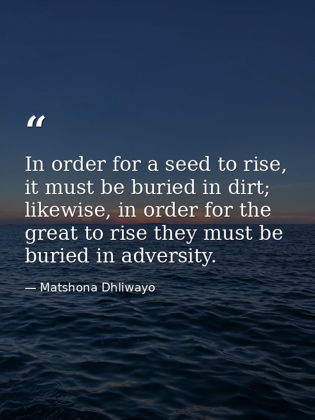 In order for a seed to rise, it must be buried in dirt; likewise, in order for the great to rise they must be buried in  — Matshona Dhliwayo