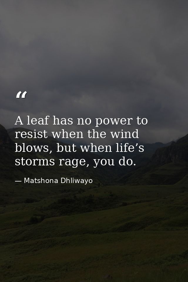 A leaf has no power to resist when the wind blows, but when life’s storms rage, you do. — Matshona Dhliwayo