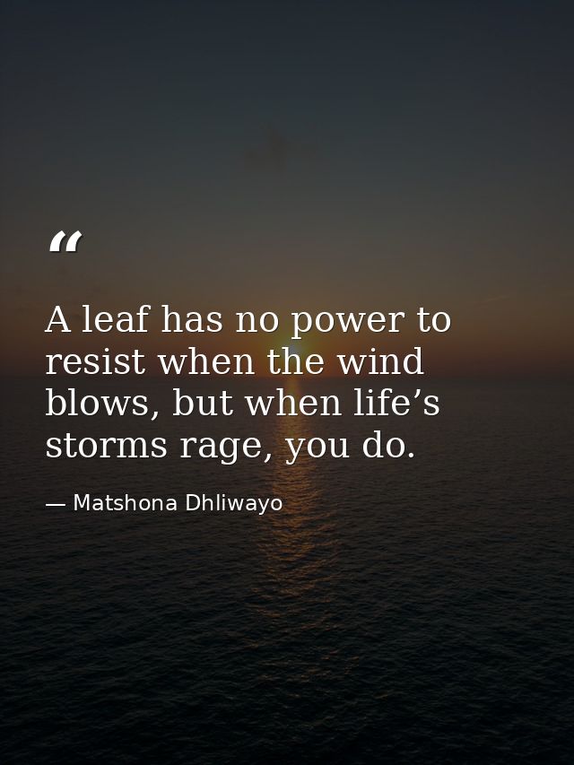 A leaf has no power to resist when the wind blows, but when life’s storms rage, you do. — Matshona Dhliwayo