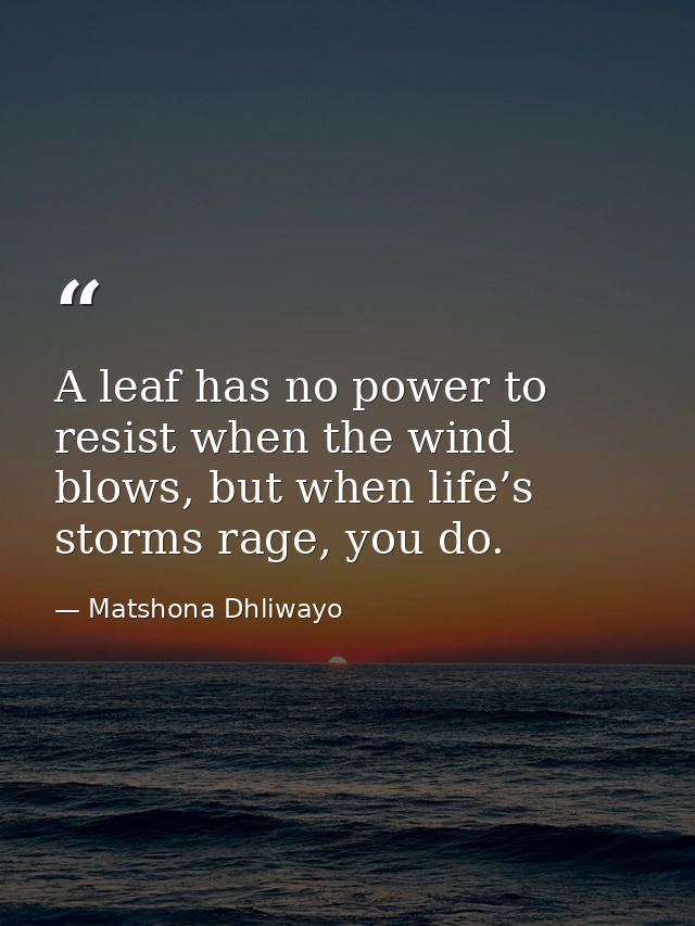 A leaf has no power to resist when the wind blows, but when life’s storms rage, you do. — Matshona Dhliwayo