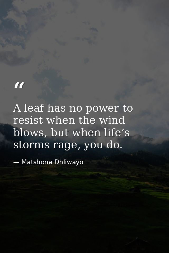 A leaf has no power to resist when the wind blows, but when life’s storms rage, you do. — Matshona Dhliwayo