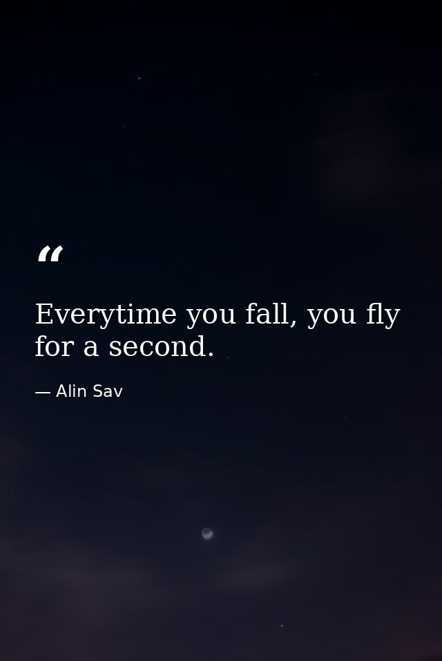 Everytime you fall, you fly for a second. — Alin Sav
