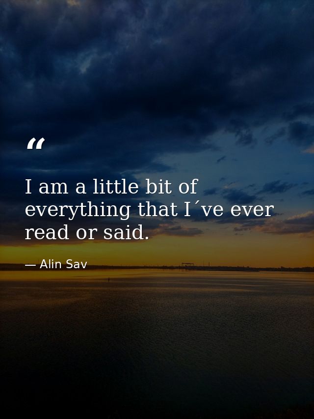 I am a little bit of everything that I´ve ever read or said. — Alin Sav