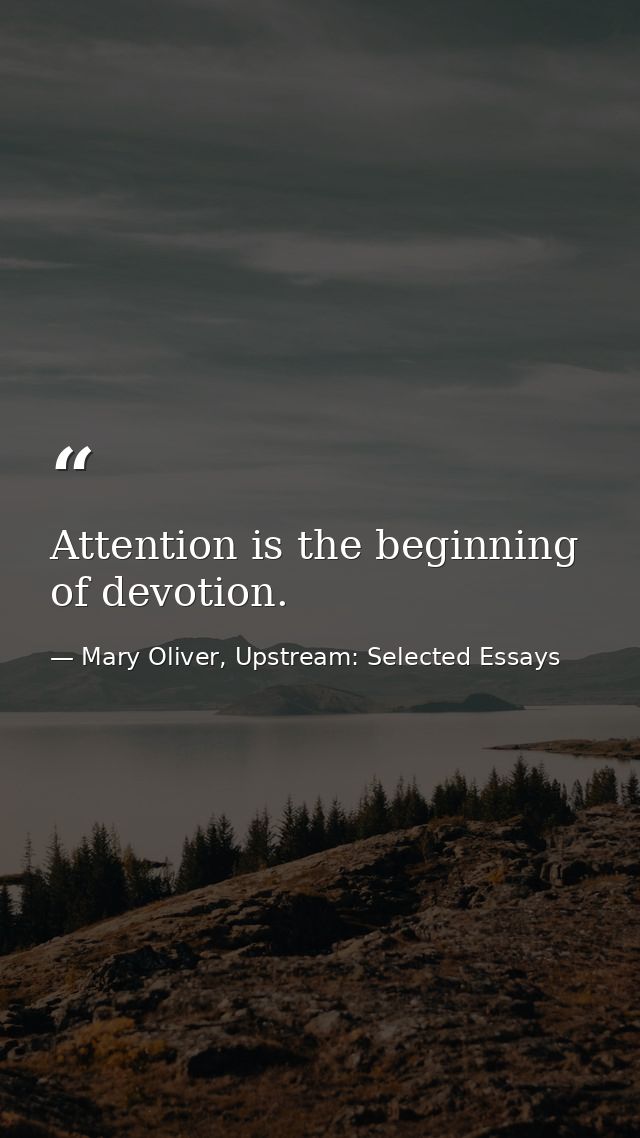 Attention is the beginning of devotion. — Mary Oliver, Upstream: Selected Essays