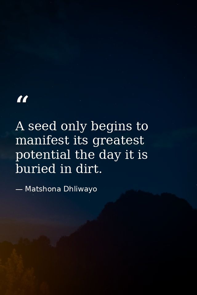 A seed only begins to manifest its greatest potential the day it is buried in dirt. — Matshona Dhliwayo