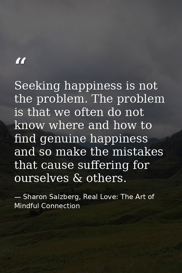 Seeking happiness is not the problem. The problem is that we often do not know where and how to find genuine happiness a — Sharon Salzberg, Real Love: The Art of Mindful Connection