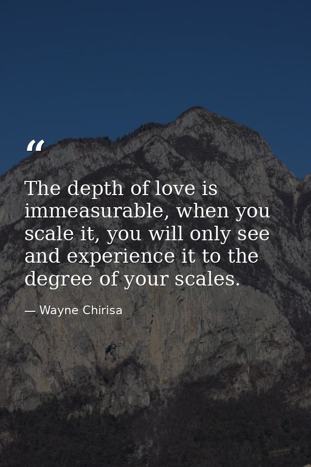 The depth of love is immeasurable, when you scale it, you will only see and experience it to the degree of your scales. — Wayne Chirisa