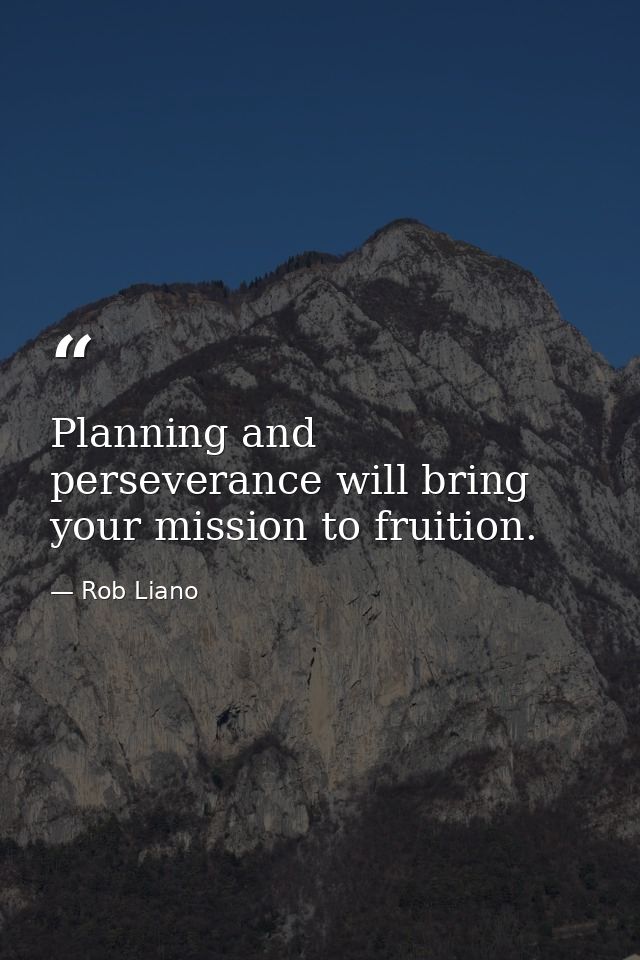 Planning and perseverance will bring your mission to fruition. — Rob Liano