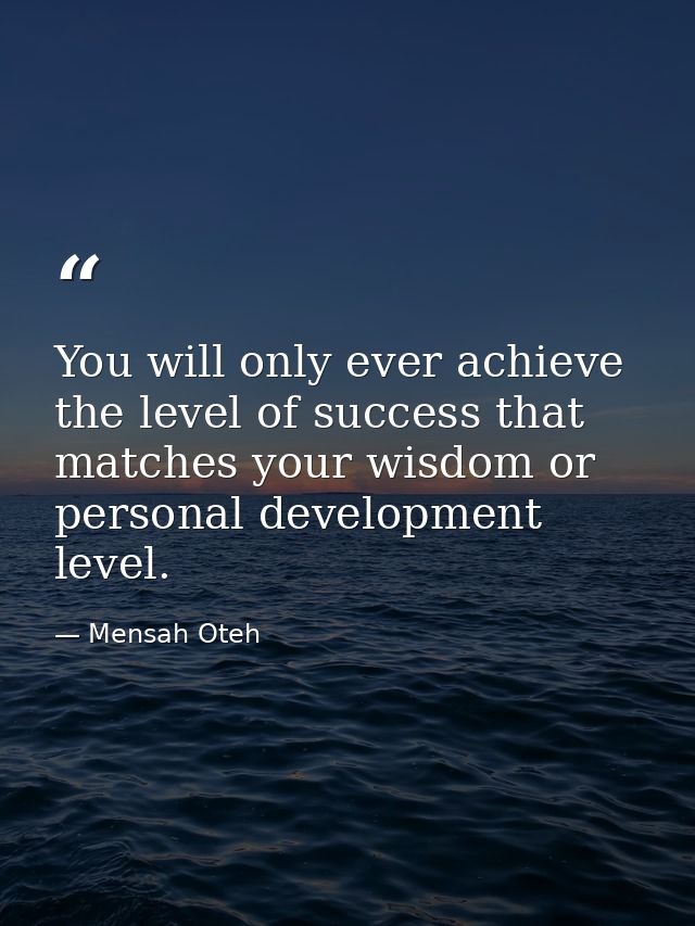 You will only ever achieve the level of success that matches your wisdom or personal development level. — Mensah Oteh