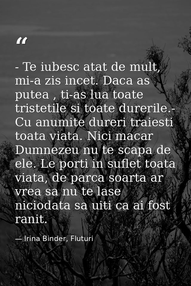 - Te iubesc atat de mult, mi-a zis incet. Daca as putea , ti-as lua toate tristetile si toate durerile.- Cu anumite dure — Irina Binder, Fluturi