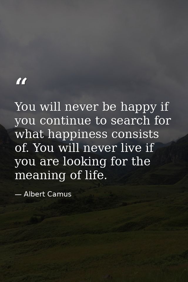 You will never be happy if you continue to search for what happiness consists of. You will never live if you are looking — Albert Camus