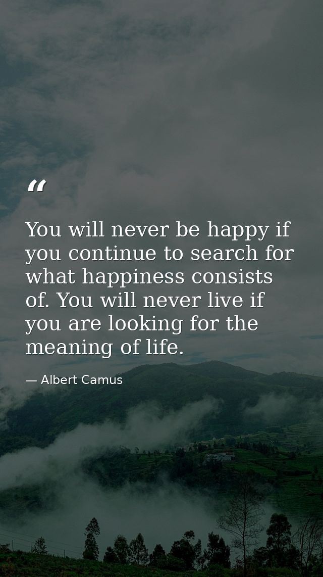 You will never be happy if you continue to search for what happiness consists of. You will never live if you are looking — Albert Camus
