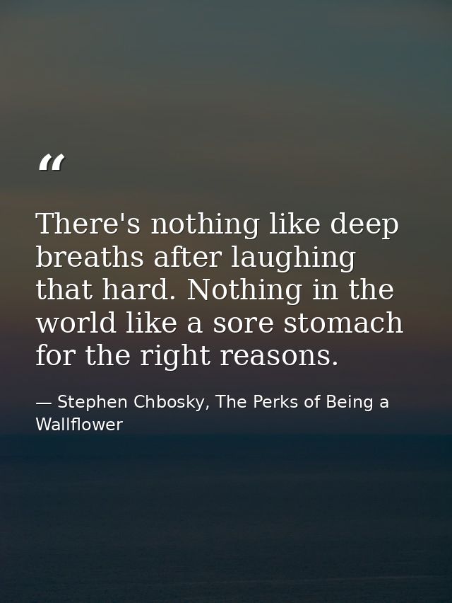 There's nothing like deep breaths after laughing that hard. Nothing in the world like a sore stomach for the right reaso — Stephen Chbosky, The Perks of Being a Wallflower
