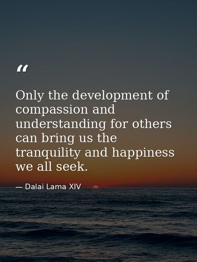 Only the development of compassion and understanding for others can bring us the tranquility and happiness we all seek. — Dalai Lama XIV